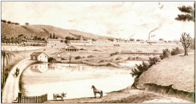 A Fazenda Ibicaba no século 19