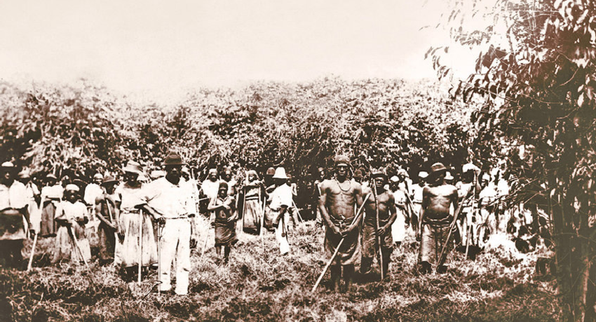 Escravos na Fazenda Ibicaba no século 19
